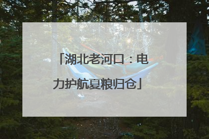湖北老河口：电力护航夏粮归仓