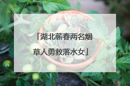 湖北蕲春两名烟草人勇救落水女