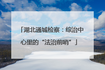 湖北通城检察：综治中心里的“法治前哨”