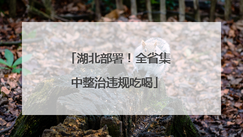 湖北部署！全省集中整治违规吃喝