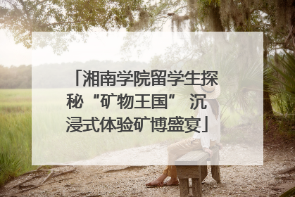 湘南学院留学生探秘“矿物王国” 沉浸式体验矿博盛宴