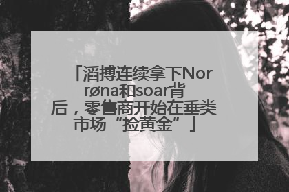 滔搏连续拿下Norrøna和soar背后，零售商开始在垂类市场“捡黄金”