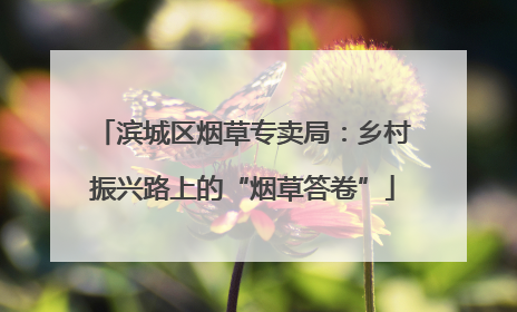 滨城区烟草专卖局：乡村振兴路上的“烟草答卷”