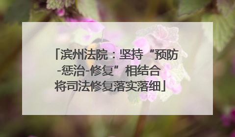 滨州法院：坚持“预防-惩治-修复”相结合 将司法修复落实落细