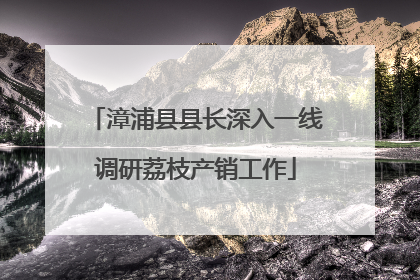 漳浦县县长深入一线调研荔枝产销工作