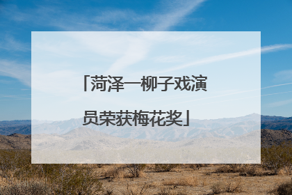 菏泽一柳子戏演员荣获梅花奖