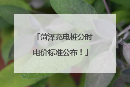 菏泽充电桩分时电价标准公布！