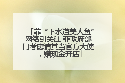 菲“下水道美人鱼”网络引关注 菲政府部门考虑请其当官方大使，赠现金开店