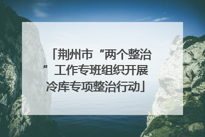 荆州市“两个整治”工作专班组织开展冷库专项整治行动