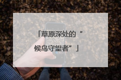 草原深处的“候鸟守望者”