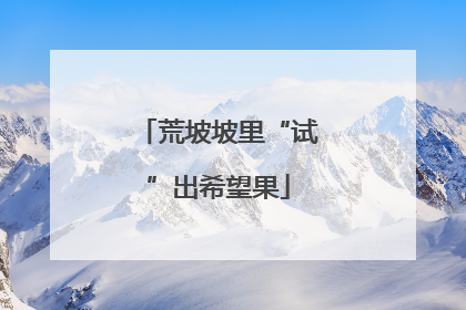 荒坡坡里“试”出希望果