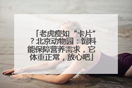 老虎瘦如“卡片”？北京动物园：饲料能保障营养需求，它体重正常，放心吧
