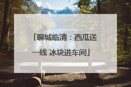 聊城临清：西瓜送一线 冰块进车间