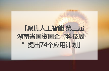 聚焦人工智能 第三届湖南省国资国企“科技周”提出74个应用计划