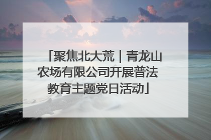 聚焦北大荒｜青龙山农场有限公司开展普法教育主题党日活动