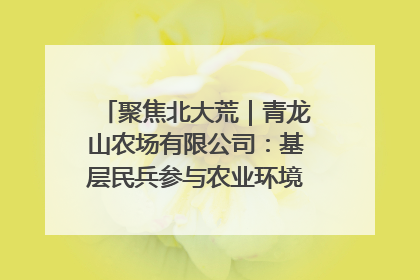 聚焦北大荒｜青龙山农场有限公司：基层民兵参与农业环境综合治理显效