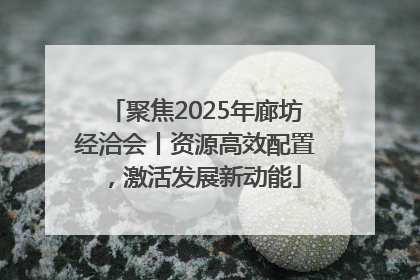 聚焦2025年廊坊经洽会丨资源高效配置，激活发展新动能