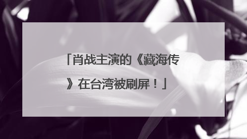 肖战主演的《藏海传》在台湾被刷屏！