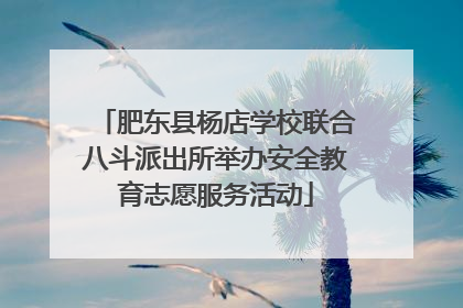 肥东县杨店学校联合八斗派出所举办安全教育志愿服务活动