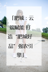 肥城：云端赋能 打造“肥城好品”强农引擎