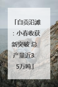 自贡沿滩：小春收获新突破 总产量近3.5万吨