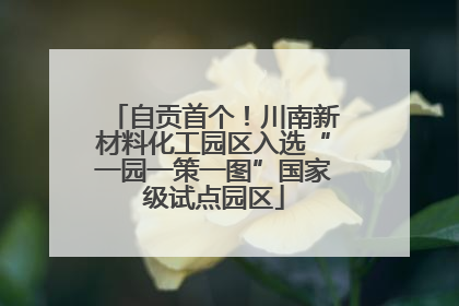 自贡首个！川南新材料化工园区入选“一园一策一图”国家级试点园区