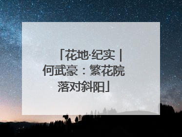 花地·纪实｜何武豪：繁花院落对斜阳