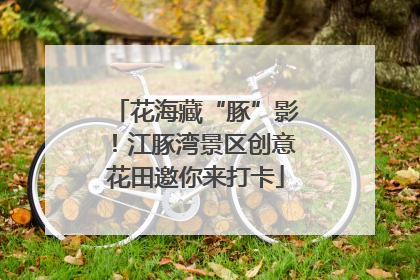 花海藏“豚”影！江豚湾景区创意花田邀你来打卡