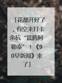 花都开好了，有空来打卡余杭“景腾阿勒泰”！《90早新闻》来了