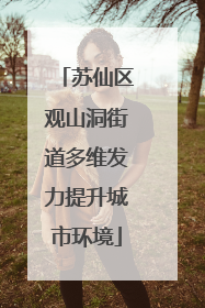 苏仙区观山洞街道多维发力提升城市环境
