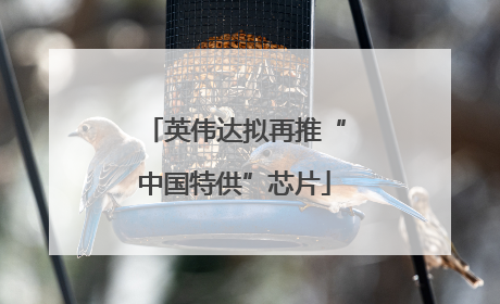 英伟达拟再推“中国特供”芯片