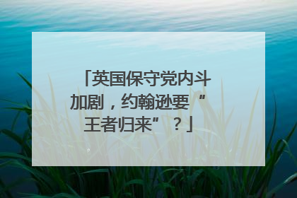 英国保守党内斗加剧，约翰逊要“王者归来”？