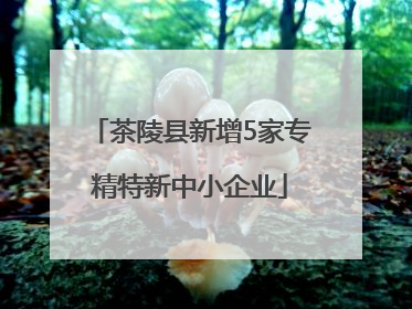 茶陵县新增5家专精特新中小企业