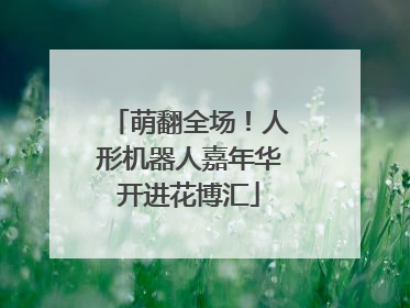 萌翻全场！人形机器人嘉年华开进花博汇