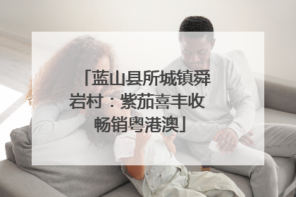 蓝山县所城镇舜岩村：紫茄喜丰收 畅销粤港澳