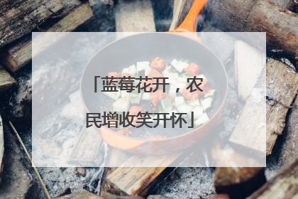 蓝莓花开，农民增收笑开怀