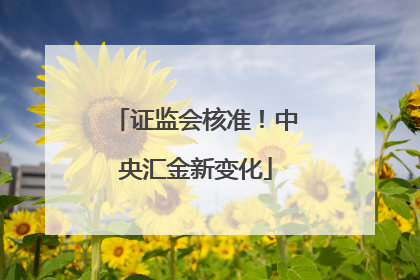 证监会核准！中央汇金新变化