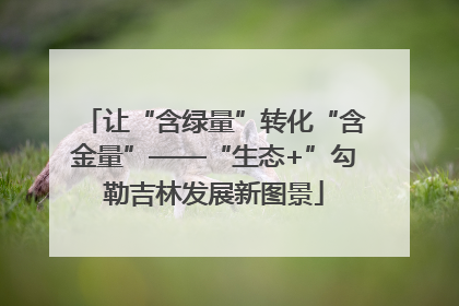 让“含绿量”转化“含金量”——“生态+”勾勒吉林发展新图景