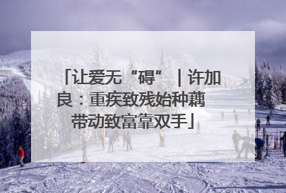 让爱无“碍”｜许加良：重疾致残始种藕 带动致富靠双手