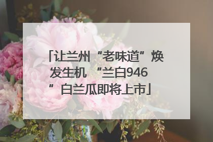 让兰州“老味道”焕发生机 “兰白946”白兰瓜即将上市
