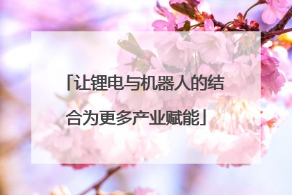 让锂电与机器人的结合为更多产业赋能