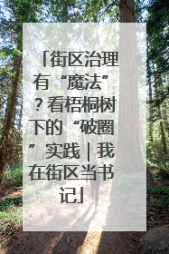街区治理有“魔法”？看梧桐树下的“破圈”实践｜我在街区当书记