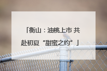 衡山：油桃上市 共赴初夏“甜蜜之约”