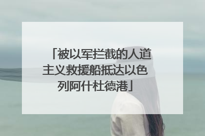 被以军拦截的人道主义救援船抵达以色列阿什杜德港