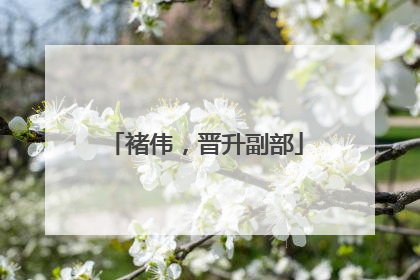 褚伟，晋升副部