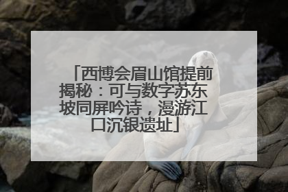 西博会眉山馆提前揭秘：可与数字苏东坡同屏吟诗，漫游江口沉银遗址