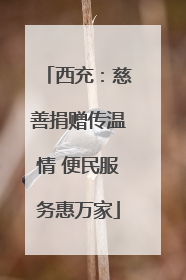 西充：慈善捐赠传温情 便民服务惠万家