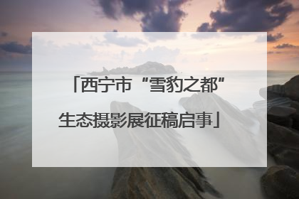 西宁市“雪豹之都”生态摄影展征稿启事