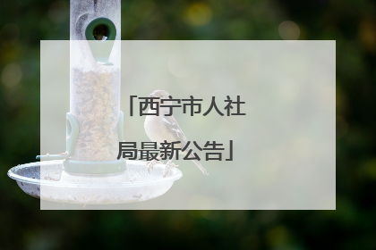 西宁市人社局最新公告