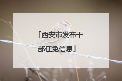 西安市发布干部任免信息